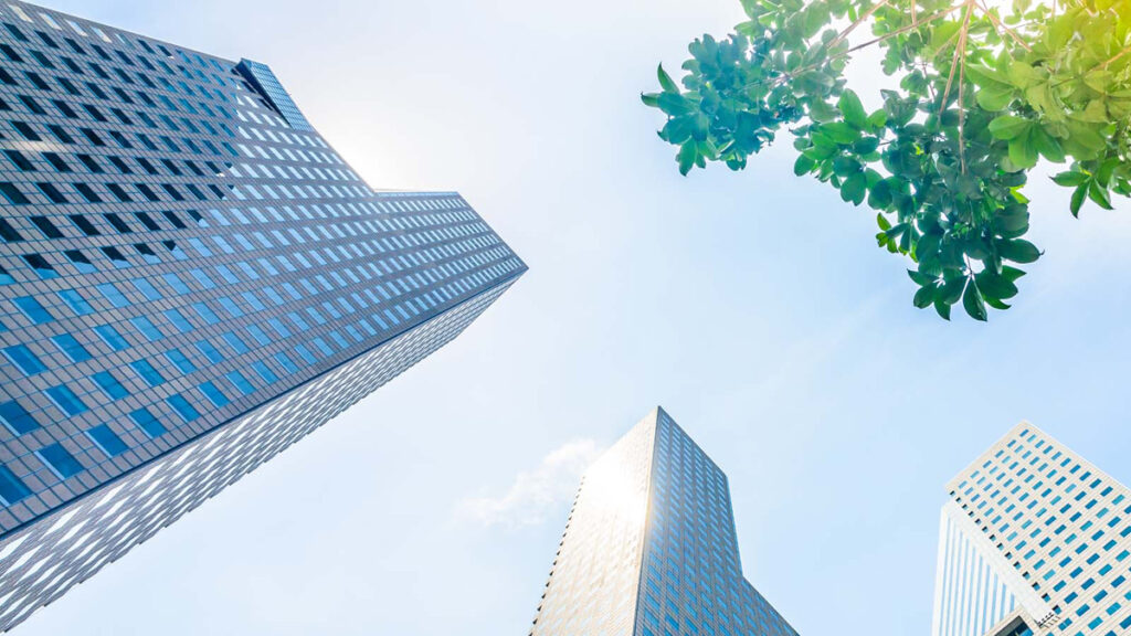 Chủ đầu tư Vạn Xuân Group