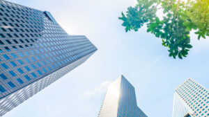 Chủ đầu tư Vạn Xuân Group